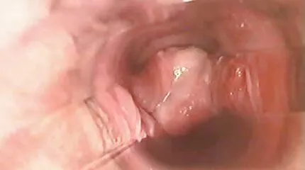 Mollig meisje lul ingedrukt romantische sex filmpjes met lippen