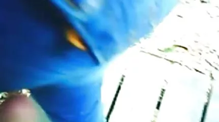 Portier neukt een rijke herberg in een geschoren s ex films kutje