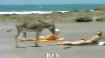 gratis homo sex filmpje