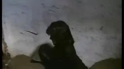 Min scopa fucks meisje in voorzijde ofeb seks gratis film